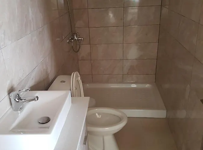 公寓 叶莱妮公寓式酒店 *